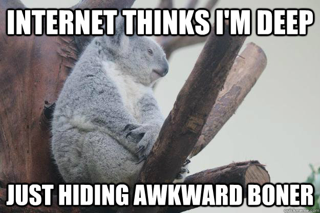 Internet thinks I'm deep Just hiding awkward boner - Internet thinks I'm deep Just hiding awkward boner  Koantemplative