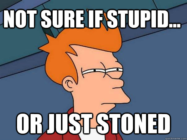 not sure if stupid... or just stoned  Futurama Fry