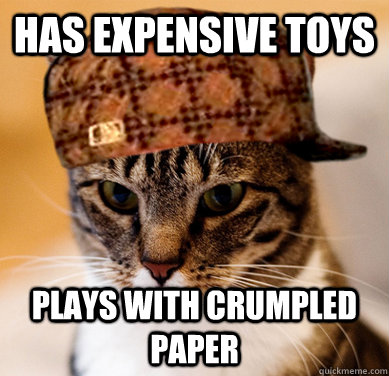 Has expensive toys plays with crumpled paper - Has expensive toys plays with crumpled paper  Scumbag Cat