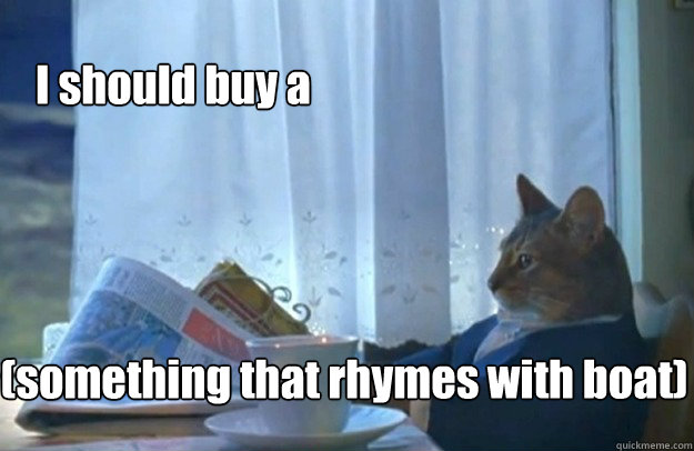 I should buy a  (something that rhymes with boat)  Sophisticated Cat