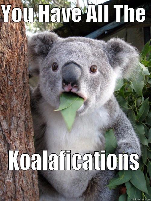 YOU HAVE ALL THE  KOALAFICATIONS koala bear