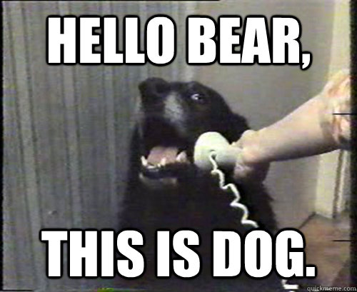 HELLO BEAR, THIS IS DOG.  