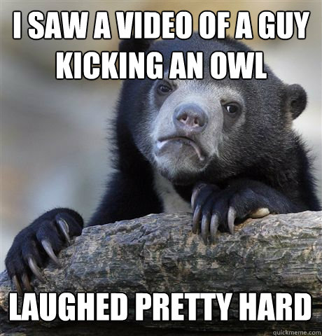 I SAW A VIDEO OF A GUY KICKING AN OWL LAUGHED PRETTY HARD  Confession Bear