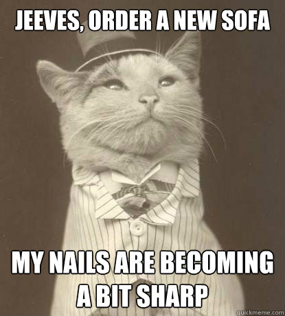 Jeeves, order a new sofa my nails are becoming a bit sharp  Aristocat