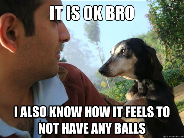 It is ok bro I also know how it feels to not have any balls - It is ok bro I also know how it feels to not have any balls  Misc