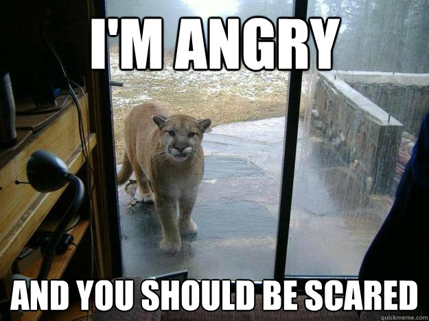 I'm Angry  And you should be scared - I'm Angry  And you should be scared  Misc