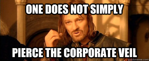 One does not simply pierce the corporate veil - One does not simply pierce the corporate veil  One Does Not Simply