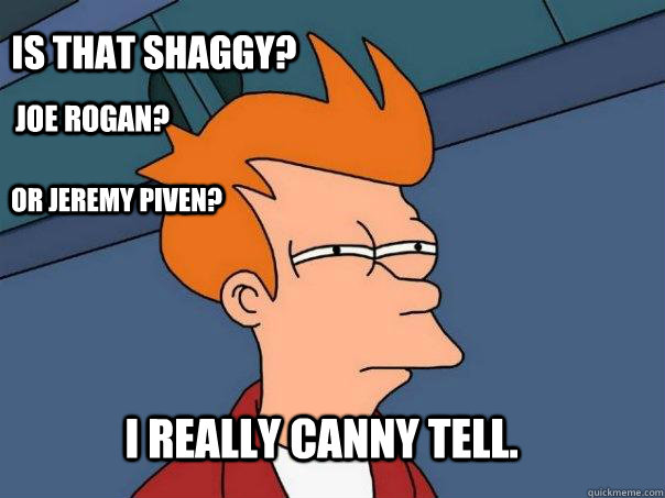 Is that shaggy? Joe Rogan? Or Jeremy Piven? I really canny tell.  Futurama Fry