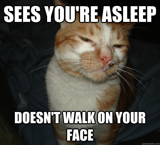 Sees you're asleep Doesn't walk on your face  Good Guy Cat