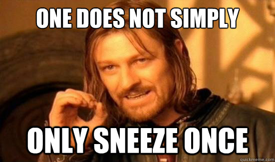 One Does Not Simply Only sneeze once  Boromir