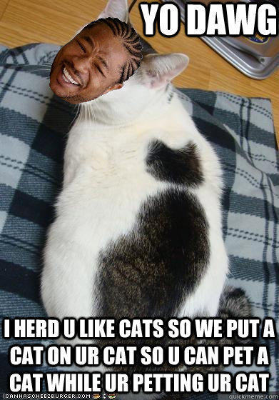 Yo Dawg I herd u like cats so we put a cat on ur cat so u can pet a cat while ur petting ur cat - Yo Dawg I herd u like cats so we put a cat on ur cat so u can pet a cat while ur petting ur cat  Xzibit Cat