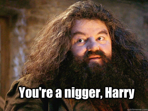 You're a nigger, Harry - You're a nigger, Harry  your a wizard