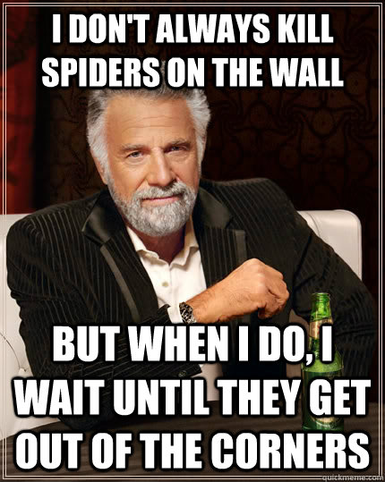 I don't always kill spiders on the wall but when I do, I wait until they get out of the corners  The Most Interesting Man In The World
