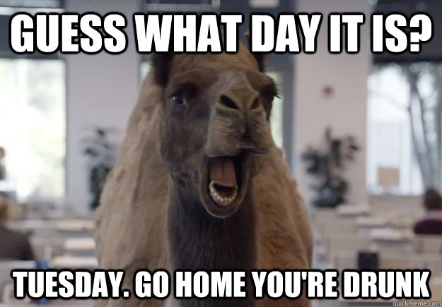 Guess what day it is? Tuesday. Go home you're drunk  Geico Camel Hump Day