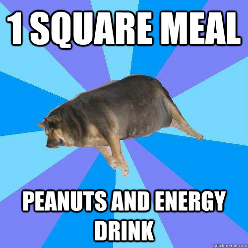 1 square meal peanuts and energy drink  Lazy college student