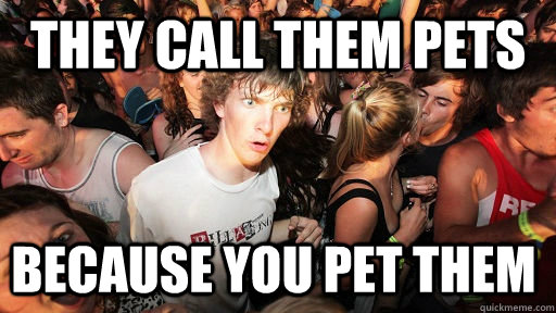 They call them pets because you pet them  Sudden Clarity Clarence