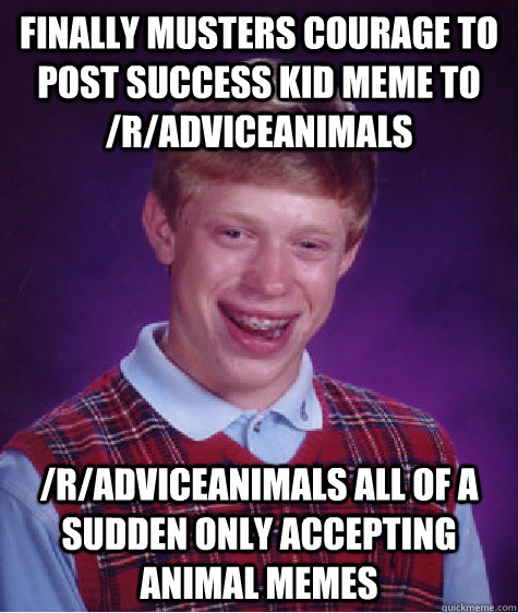 finally musters courage to post success kid meme to /r/adviceanimals /r/adviceanimals all of a sudden only accepting animal memes - finally musters courage to post success kid meme to /r/adviceanimals /r/adviceanimals all of a sudden only accepting animal memes  Bad Luck Brian