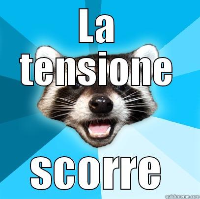 LA TENSIONE SCORRE Lame Pun Coon