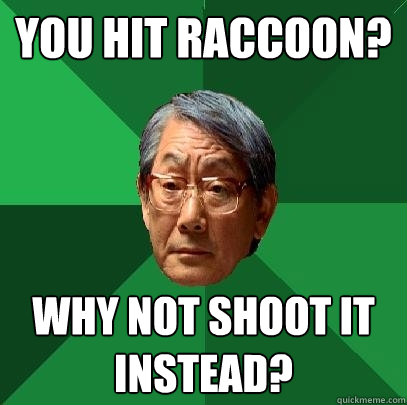 You Hit Raccoon? Why not shoot it instead?  High Expectations Asian Father