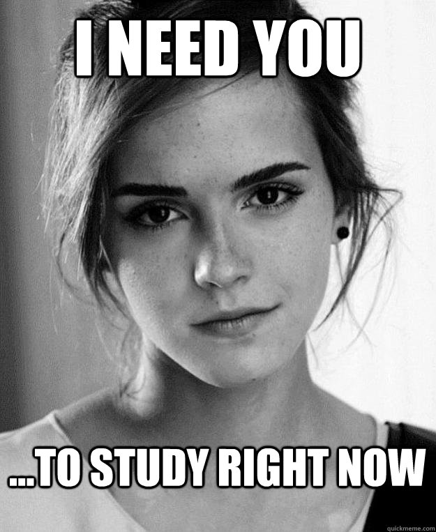 i need you ...to study right now  