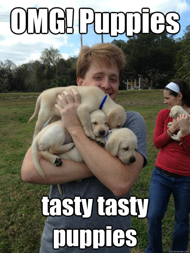 OMG! Puppies tasty tasty puppies - OMG! Puppies tasty tasty puppies  Misc