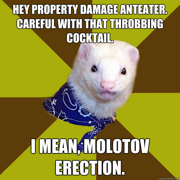 hey property damage anteater. Careful with that throbbing cocktail. I mean, molotov erection.   