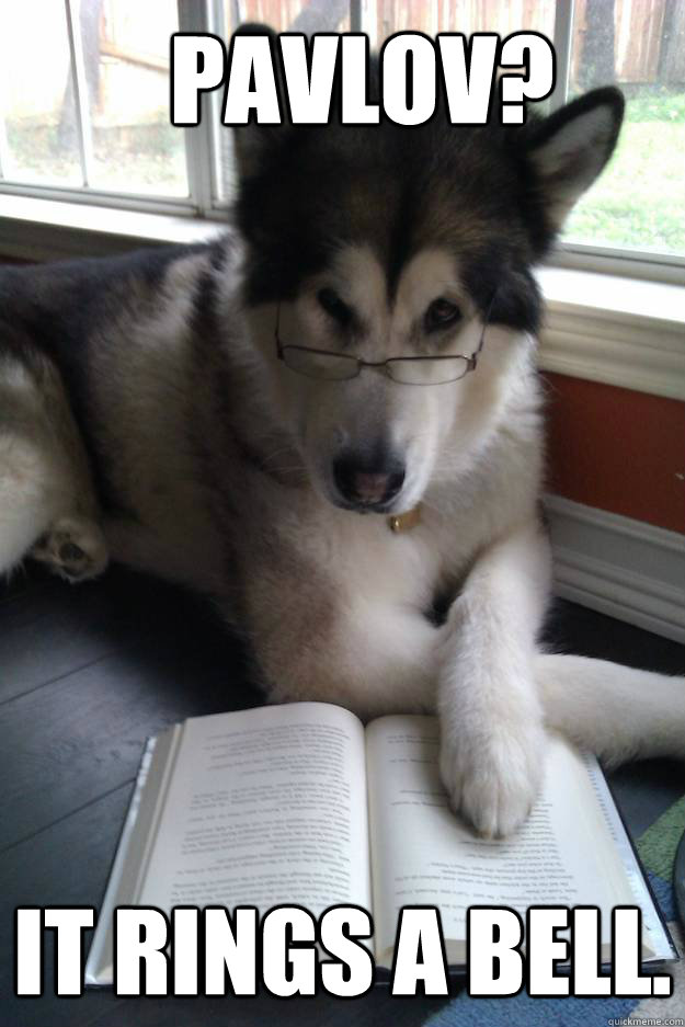 Pavlov? It rings a bell.  Condescending Literary Pun Dog