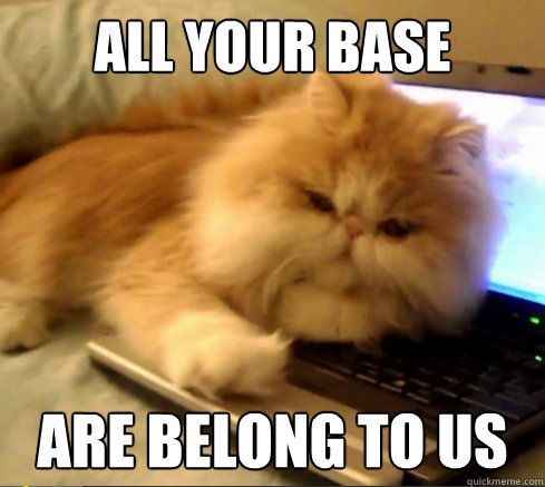 All your base are belong to us - All your base are belong to us  Boss cat