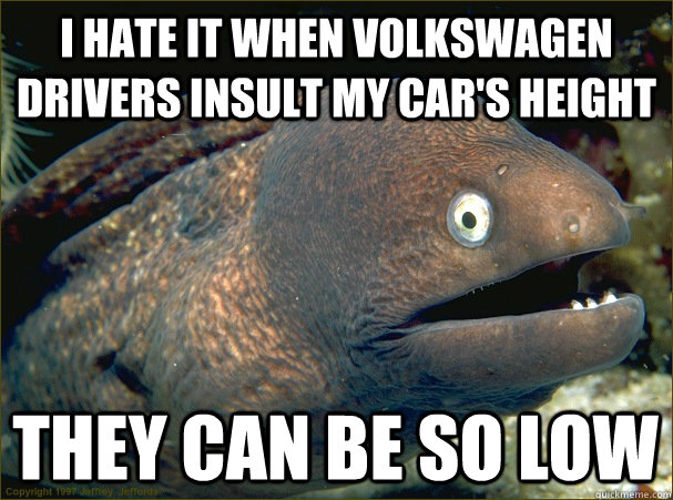 I hate it when volkswagen drivers insult my car's height They can be so low - I hate it when volkswagen drivers insult my car's height They can be so low  Bad Joke Eel