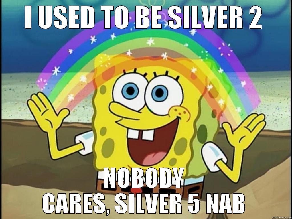 I USED TO BE SILVER 2 NOBODY CARES, SILVER 5 NAB Misc