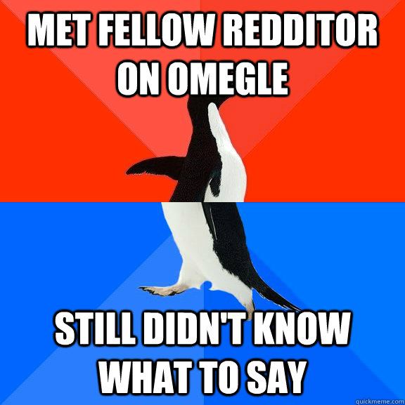 Met fellow redditor on Omegle still didn't know what to say  Socially Awesome Awkward Penguin