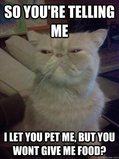 so you're telling me I let you pet me, but you wont give me food? - so you're telling me I let you pet me, but you wont give me food?  Skeptical cat