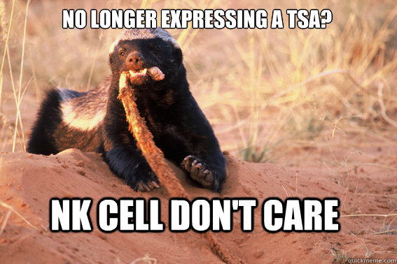 No longer expressing a TSA? NK cell don't cARE  Honey Badger Dont Care