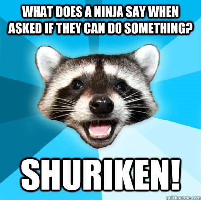 What does a ninja say when asked if they can do something? Shuriken!  Lame Pun Coon