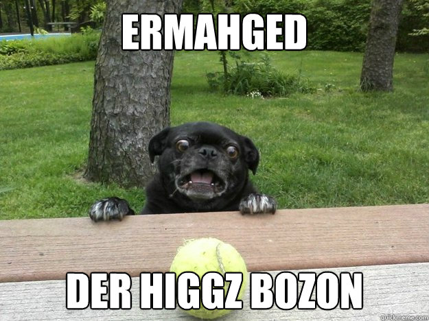 ERMAHGED DER HIGGZ BOZON  Berks Dog