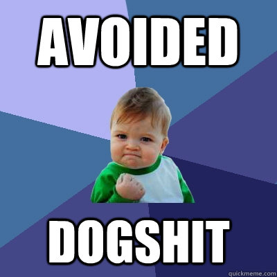 Avoided dogshit  Success Kid