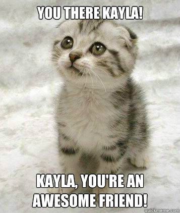 YOU THERE KAYLA! KAYLA, YOU'RE AN AWESOME FRIEND!  super cute cat