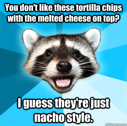 You don't like these tortilla chips with the melted cheese on top? I guess they're just nacho style.  Lame Pun Coon