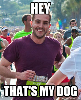 hey that's my dog  Ridiculously photogenic guy
