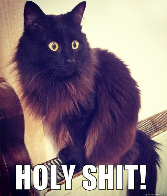  HOLY SHIT! Misc