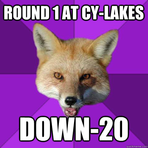 Round 1 at Cy-Lakes Down-20  Forensics Fox