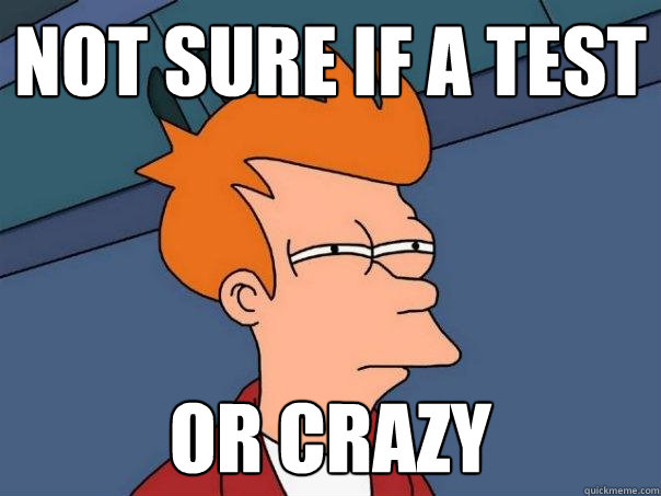 Not sure if a test or crazy  Futurama Fry