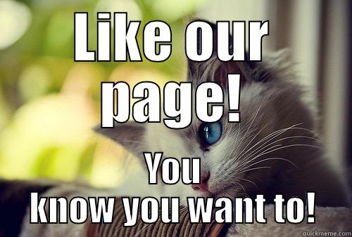 Like our page! - LIKE OUR PAGE! YOU KNOW YOU WANT TO! First World Problems Cat