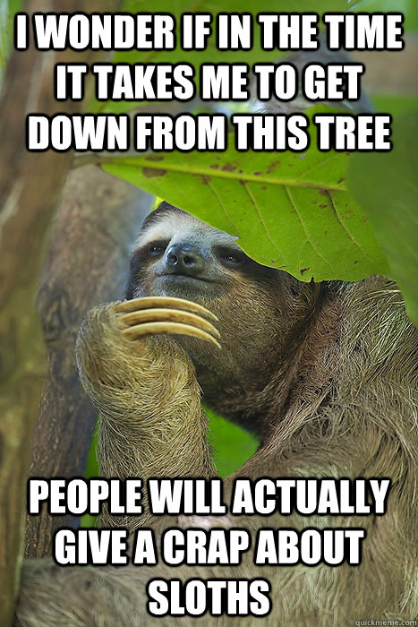 i wonder if in the time it takes me to get down from this tree people will actually give a crap about sloths  Philososloth