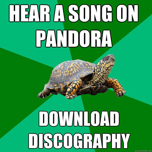 hear a song on pandora download discography  Torrenting Turtle