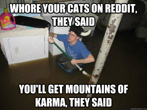 Whore your cats on Reddit, they said You'll get mountains of karma, they said  Laundry Room Viking