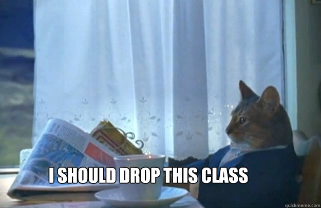 I Should Drop This Class  Sophisticated Cat