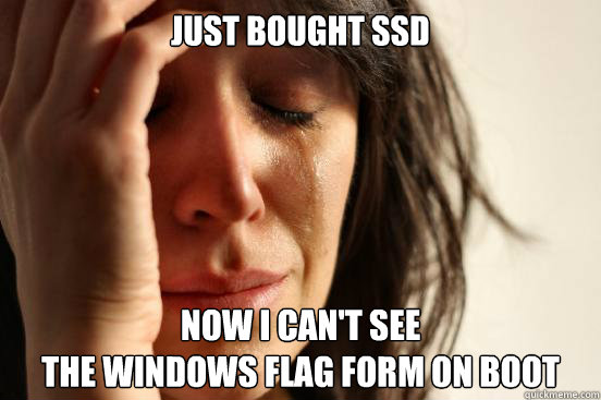 Just bought SSD Now i can't see 
the windows flag form on boot  First World Problems