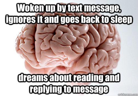 Woken up by text message, ignores it and goes back to sleep dreams about reading and replying to message   Scumbag Brain