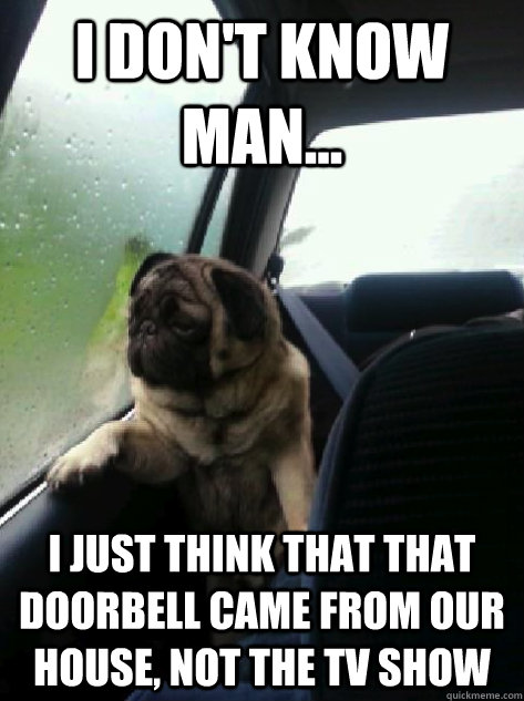 I don't know man... I just think that that doorbell came from our house, not the TV show  Introspective Pug